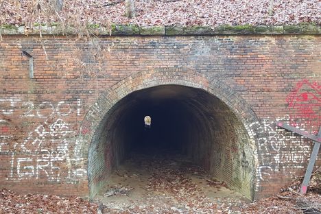The western end of the tunnel looking east.