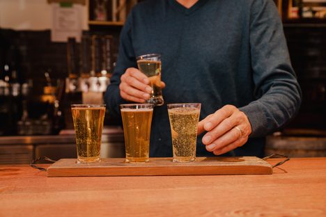 EsoTerra’s ciders are hand-crafted from different varieties of apples. Each cultivar gives the cider a unique color, flavor, and body.