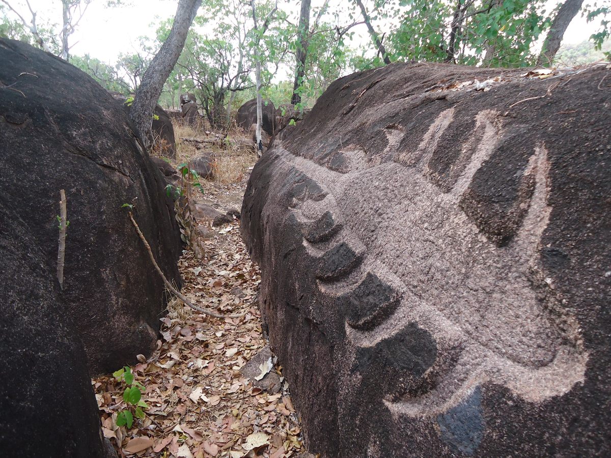In Australia's Northern Territory, Mitsuaki carved a strand of wild rice on a granite boulder.
