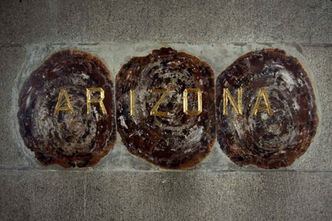 The State of Arizona is represented by petrified wood and gold lettering. 