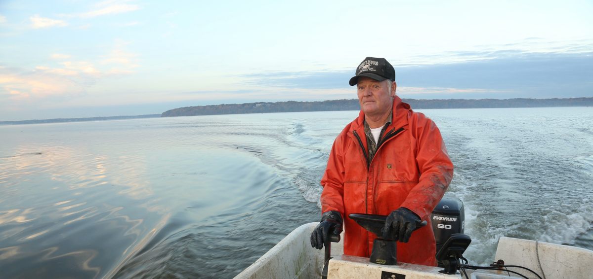 Not pictured: roughly 100 million invasive catfish.