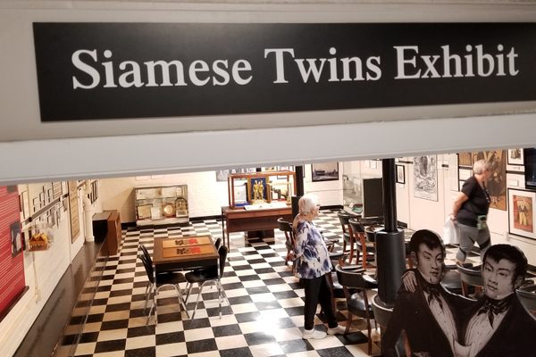 Original Siamese Twins Exhibit