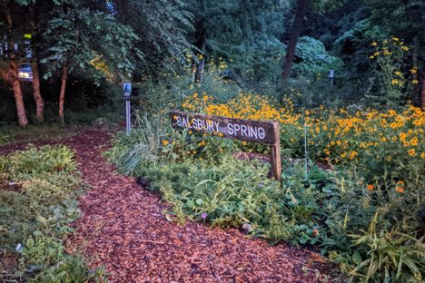 Salsbury Spring 