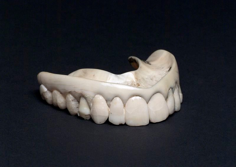 Upper ivory denture with human teeth.