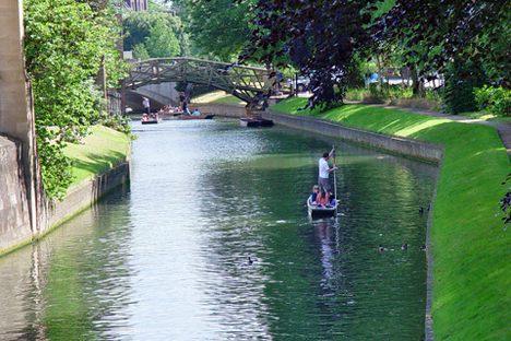 The Mathematical Bridge