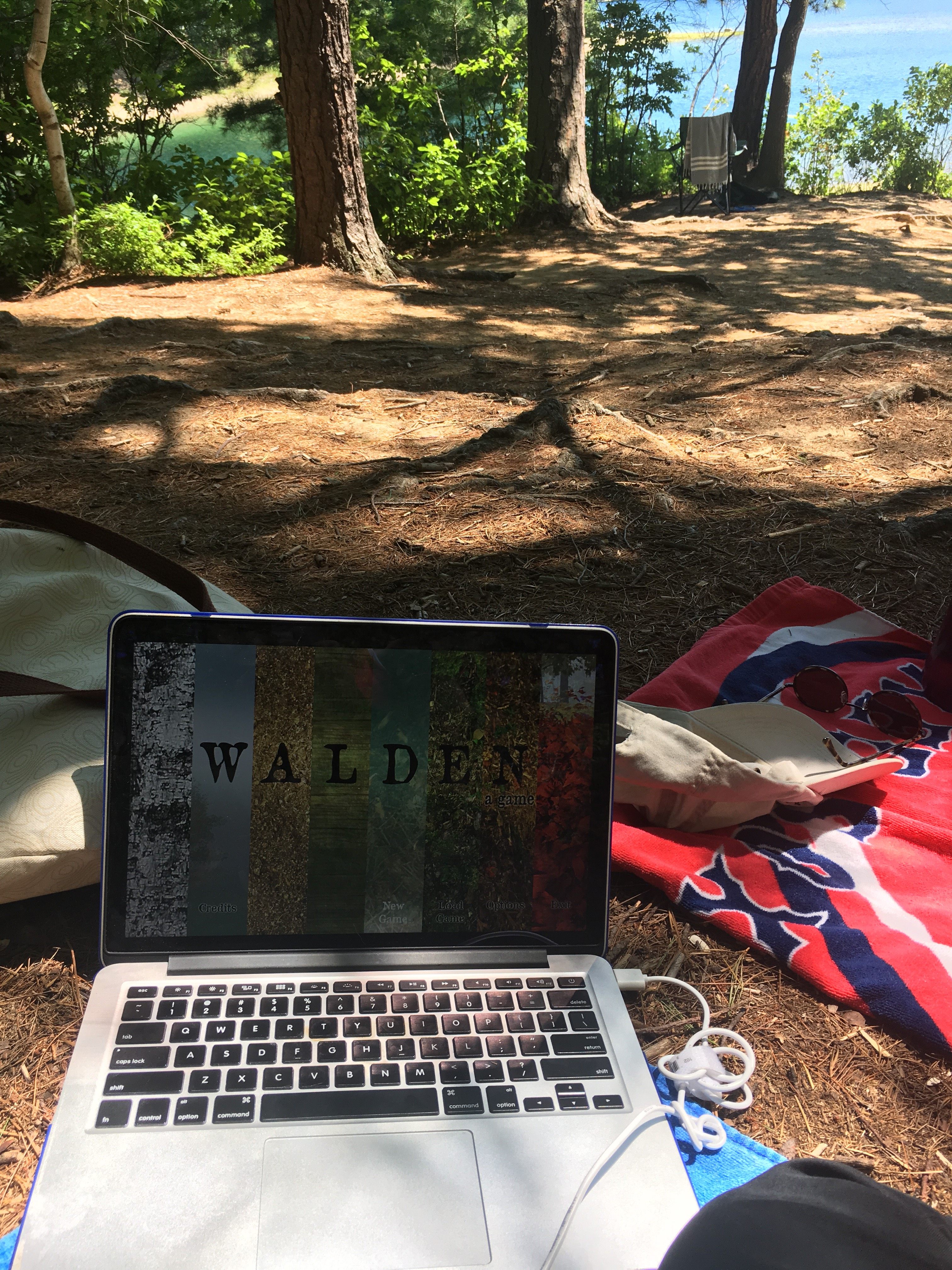 Playing <em>Walden, a game</em> at Walden.