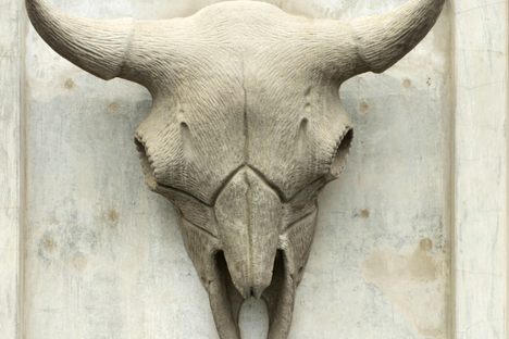 A bison skull on the bridge.