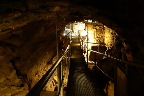 Grotte Scladina