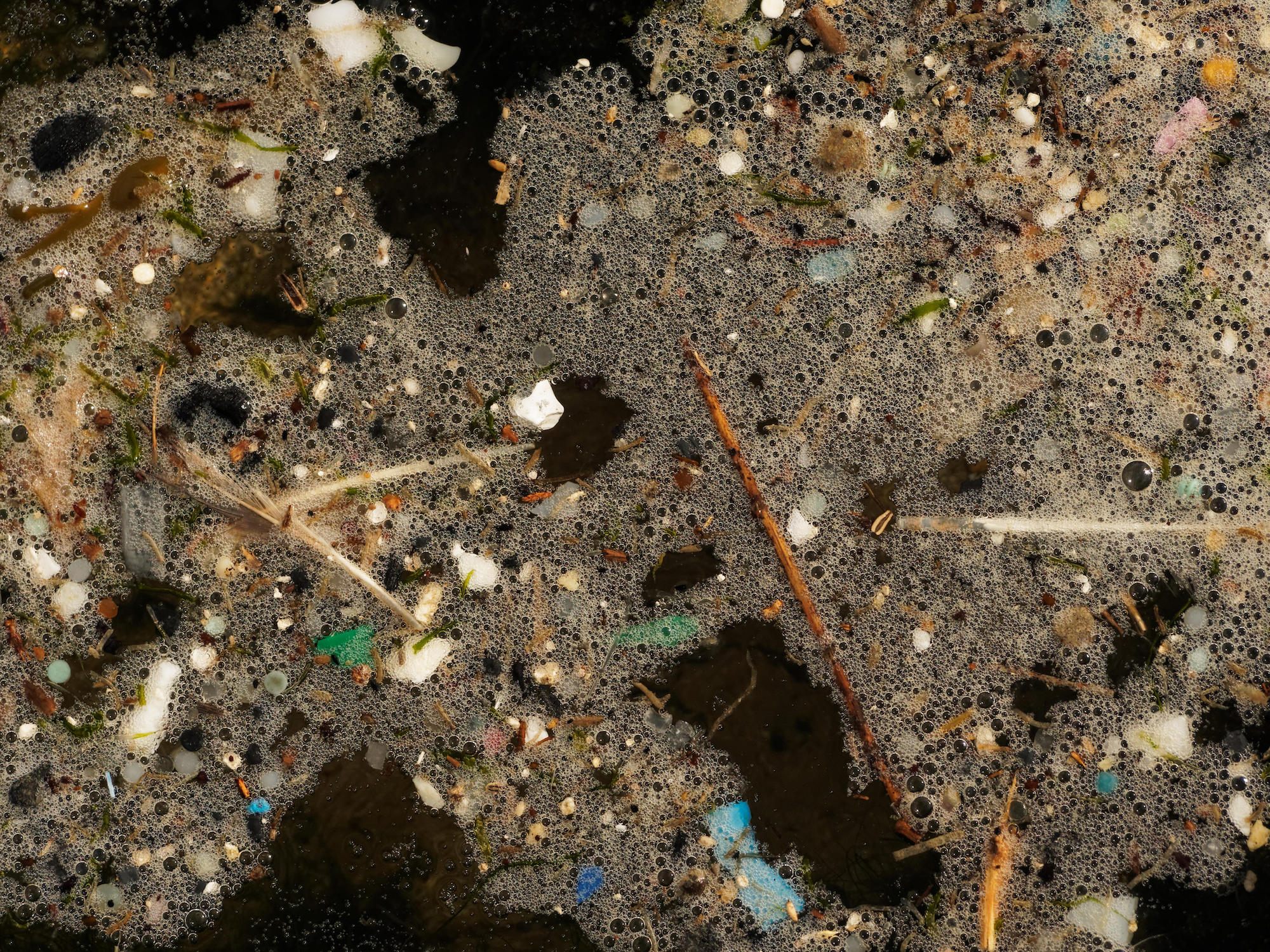 Microplastics in the mud: Finnish lake sediments help us get to the bottom  of plastic pollution