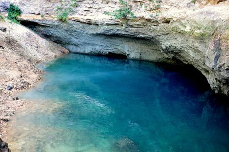 The spring