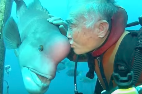 A Japanese Diver's 25-Year Friendship With a Local Fish