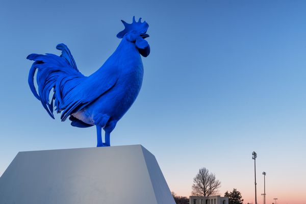Hahn/Cock at the Walker Art Center.