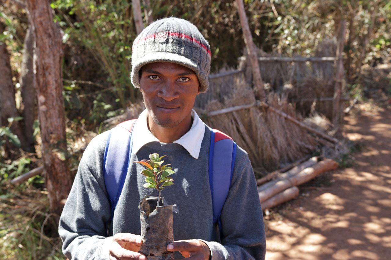 Hajanirinta Rarivoarison, who goes by Haja, holds up a native sohisika seedling in a nursery built near Ankafobe Forest. Several of them burned down during the 2014 fire, but have since been rebuilt.