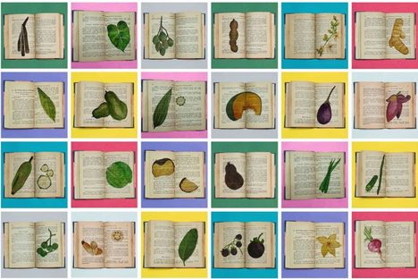 Muralidharan worked with illustrators Shrishti Dabolkar and Priyadarshini Narayana to create renderings of the vegetables featured in Cook and See.