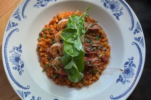 Royal red shrimp are a seasonal delicacy found along the Florida coast and the Mississippi Delta.