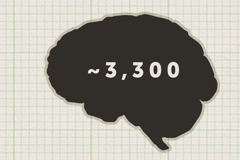 Curious Fact of the Week: Biggest Brain Collections