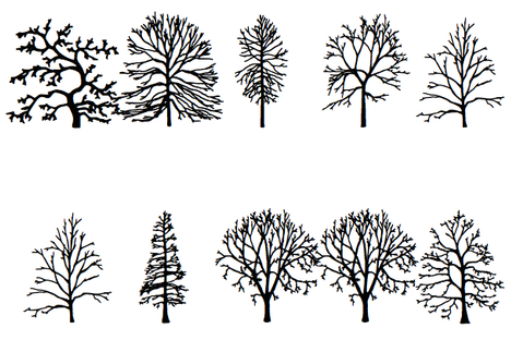Read the Tree Leaves, With an Artist's Invented Tree Font