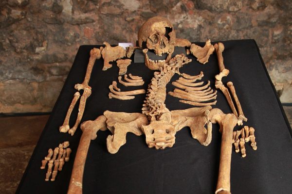 The plague victim skeleton at the Charterhouse.