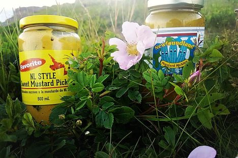 Mustard pickles in the wild.