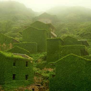 Houses are covered with creepers in the deserted village.