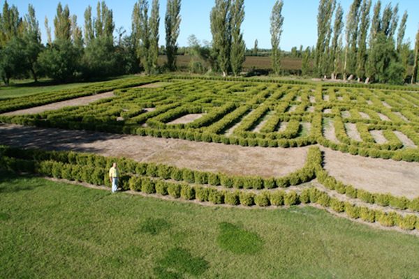 Borges Memorial Maze