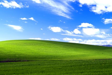 "Bliss."