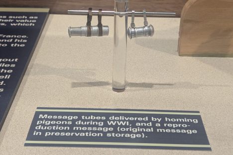 Message tubes used by Stumpy.