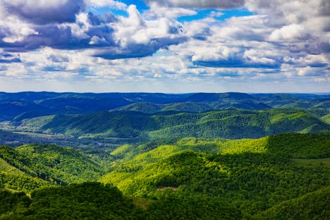 View of Monongahela National Forest from Top of Olson Fire Tower