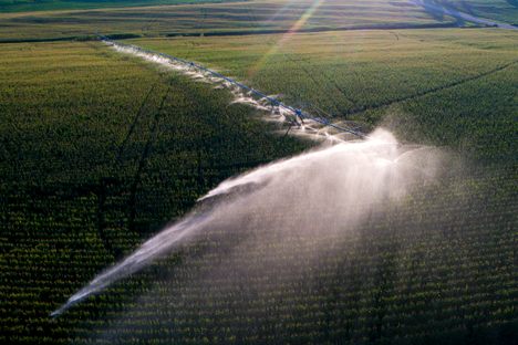 Center pivot irrigation at work northeast of Adams, Nebraska. 