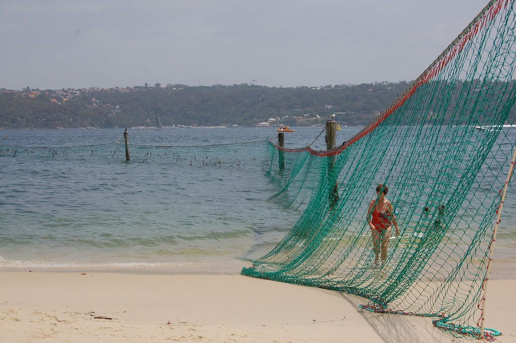The Less-Than-Effective Shark Nets Protecting Australia's Beaches - Atlas  Obscura