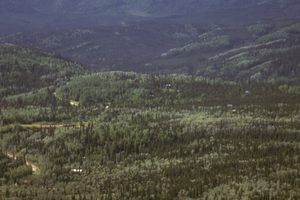 Photo of Eagle