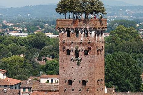 View of the Torre Guinigi from the rooftops