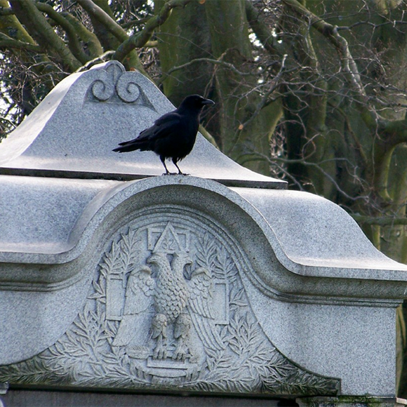 Raven, rs Life 2 Wiki