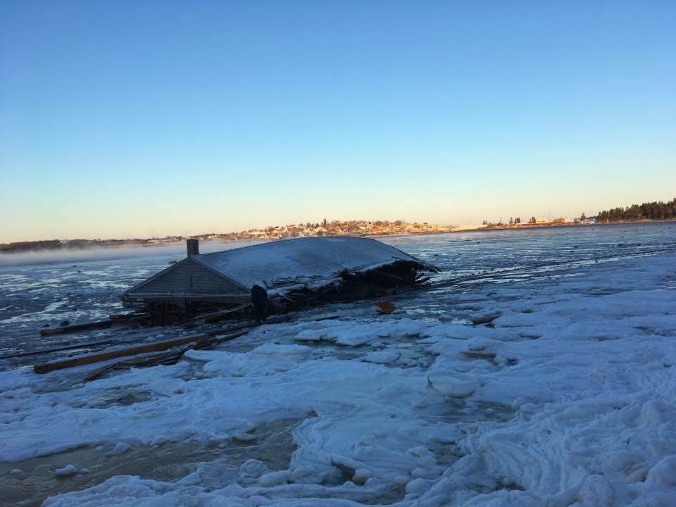 The shed made landfall on Campobello Island, amid January snow.