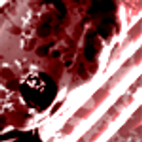 Profile image for muirabernathy68lkwjqu