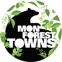 Profile image for MonForestTowns