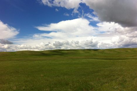On the Northern Great Plains in Alberta, Canada.