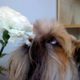 lexitoad profile photo
