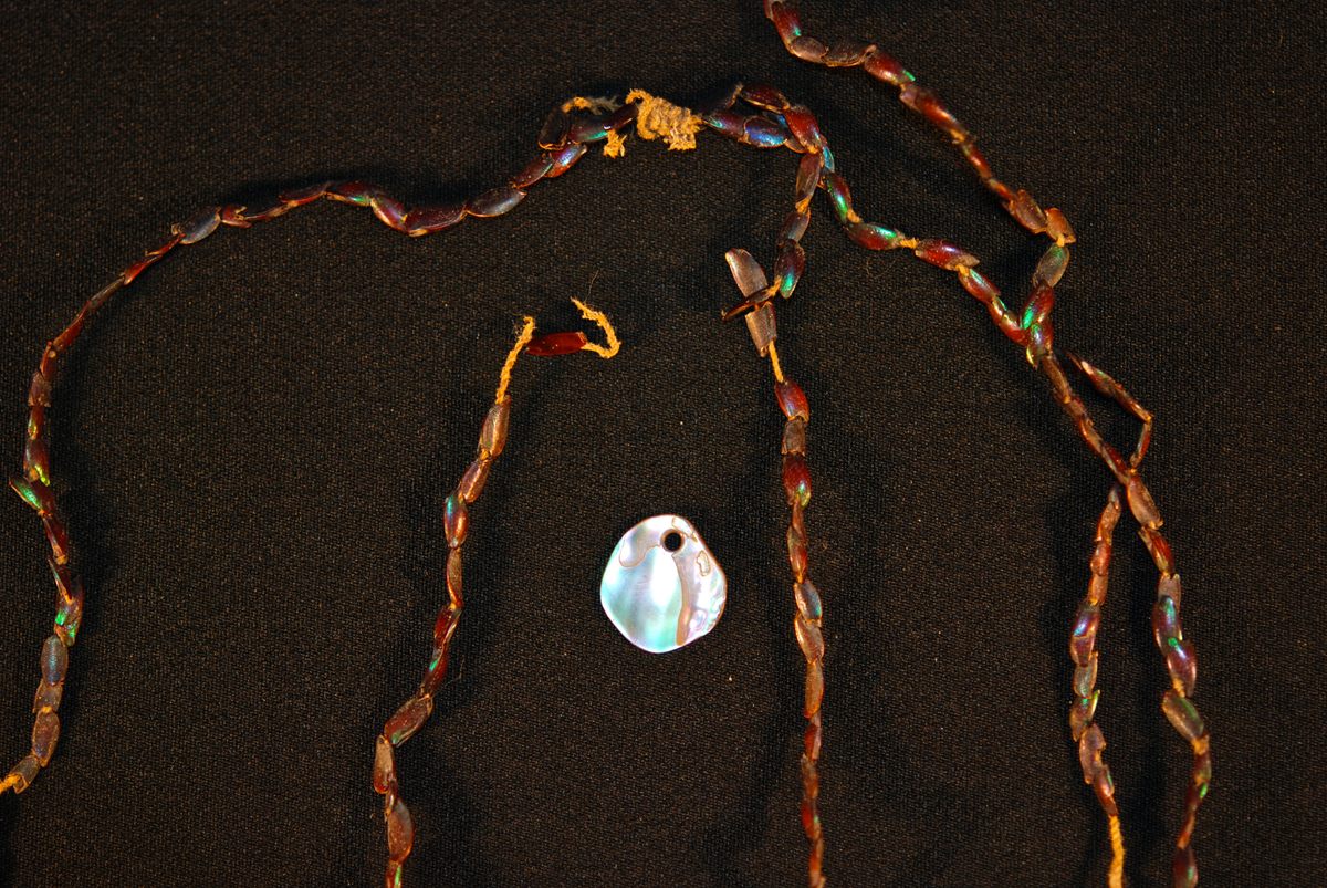 Because the figeater beetle is not abundant in the region of the Southwest where this 40-inch necklace with an abalone pendant was discovered, even acquiring the materials to make the jewelry would have been challenging.