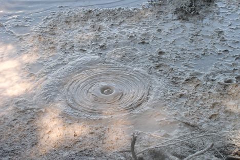 A mud bubble in a Rotorua mud pool.