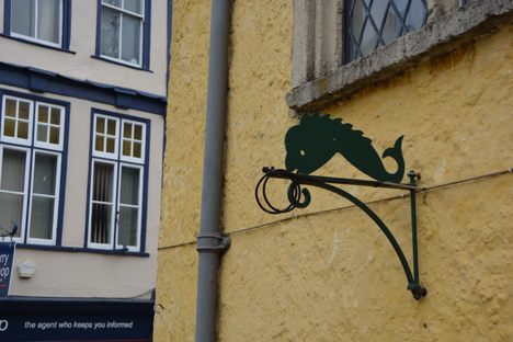 One of the dolphins featured on the Market House.