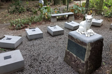 Edith Gaertner Cat Cemetery