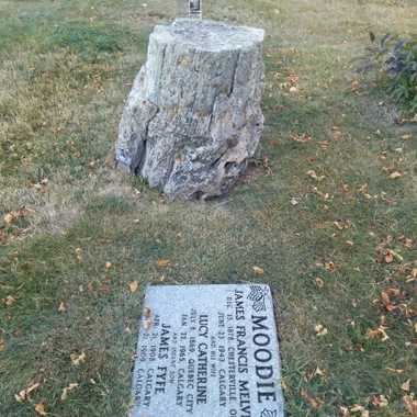 The Moodie family marker