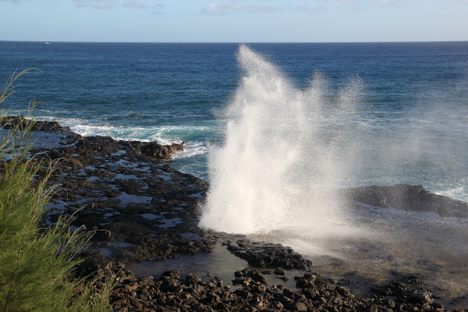 Spouting Horn in action