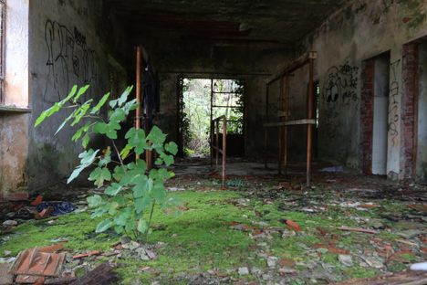 Taino Gunpowder Mill