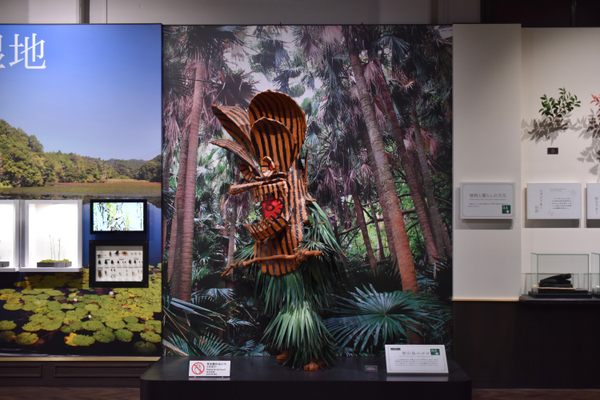See the masked god at the prefectural museum.
