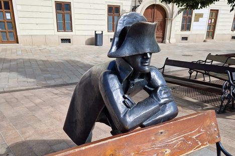 Napoleon's Army Soldier.
