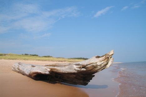 Beach at Basin Head
