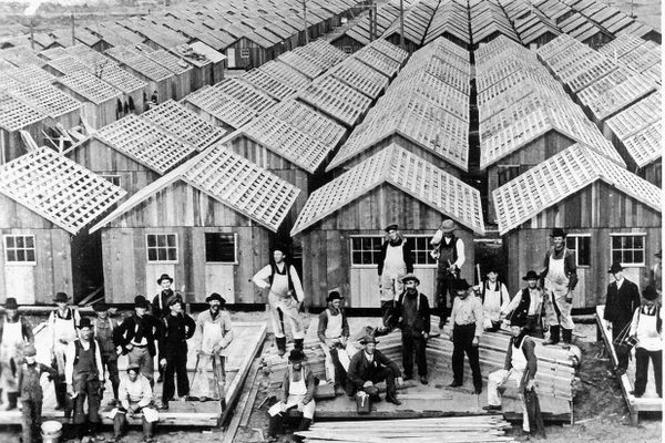 在1906年旧金山大地震之后,政府建造的5610“地震棚屋”帮助居民度过冬季。