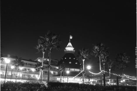 The Hotel Del Coronado from the beach